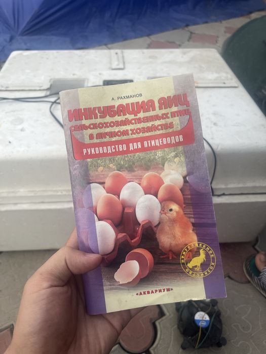 Инкубатор бытовый несушка