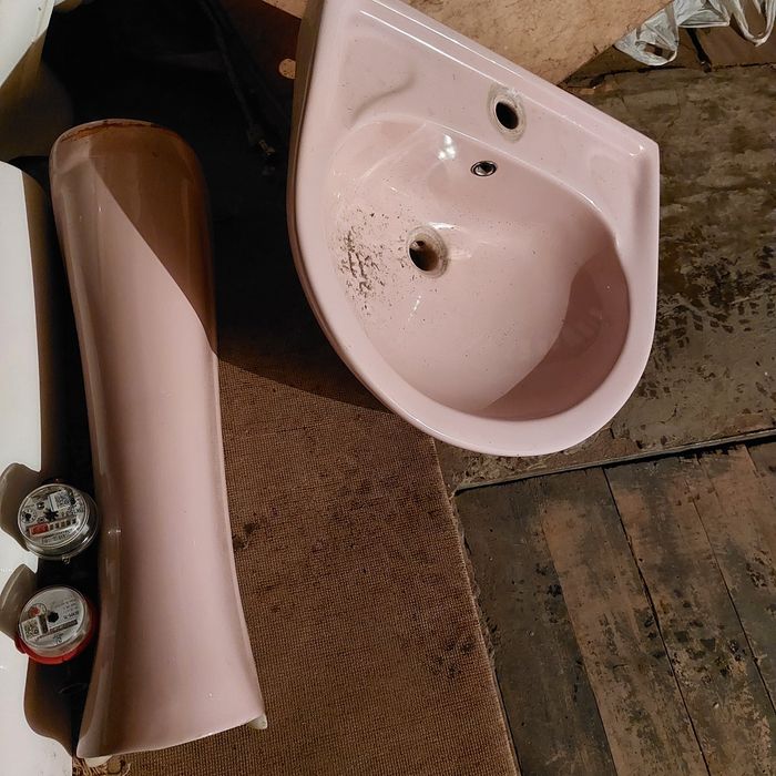 Раковина-тюльпан