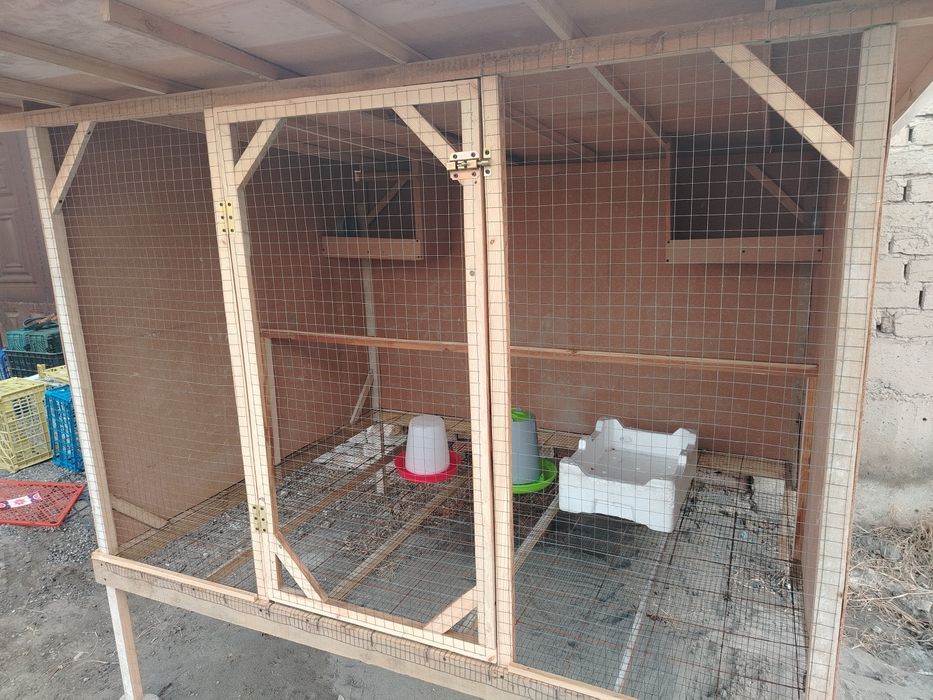 Kakat. Tovuqlar uchun