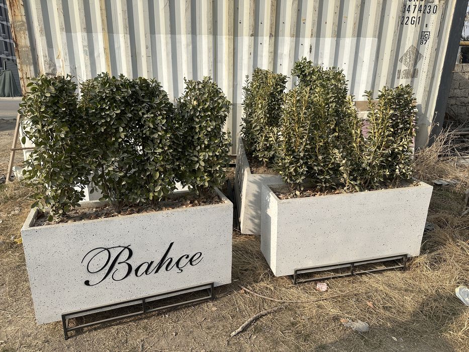 Бизнес сотилади бардак чой!