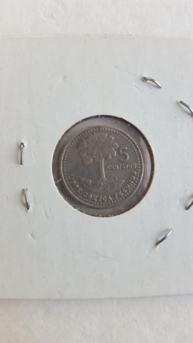 5 Цента Гуатемала 1986г. / 1986 5 Cents Guatemala