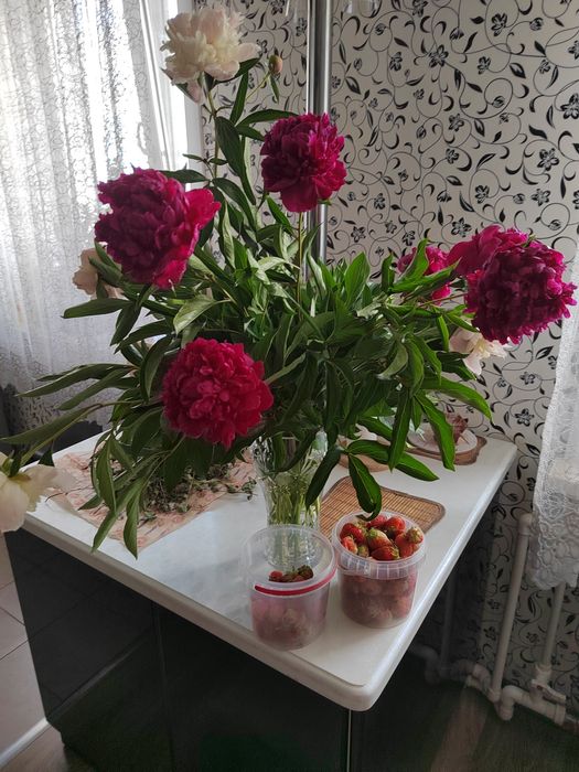 Свежие цветы Пионы