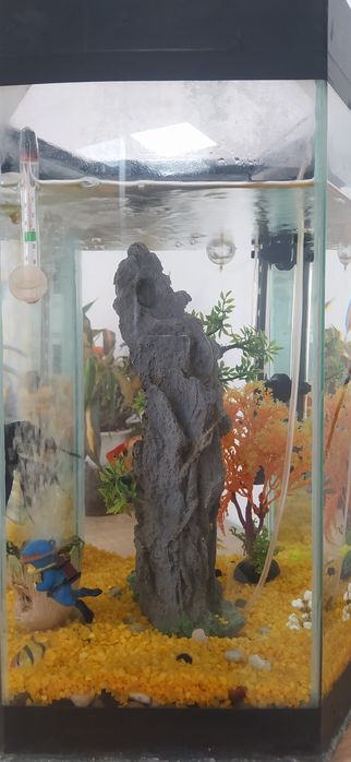 Продам аквариум на 40 л.