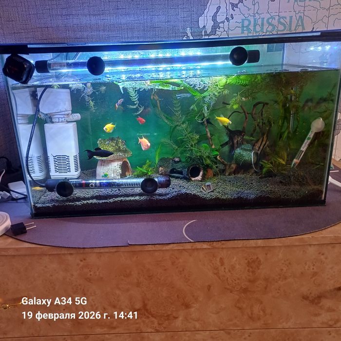 Продам аквариум с рыбками