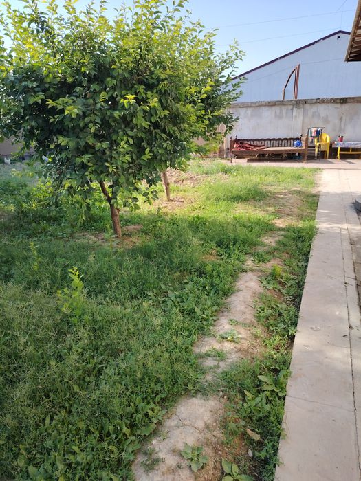 Уй ер сотилади 5,2 сотих