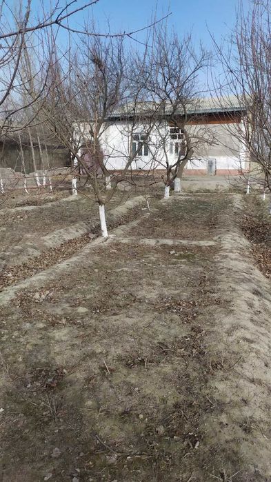 Ховли сотилади 19 сотих