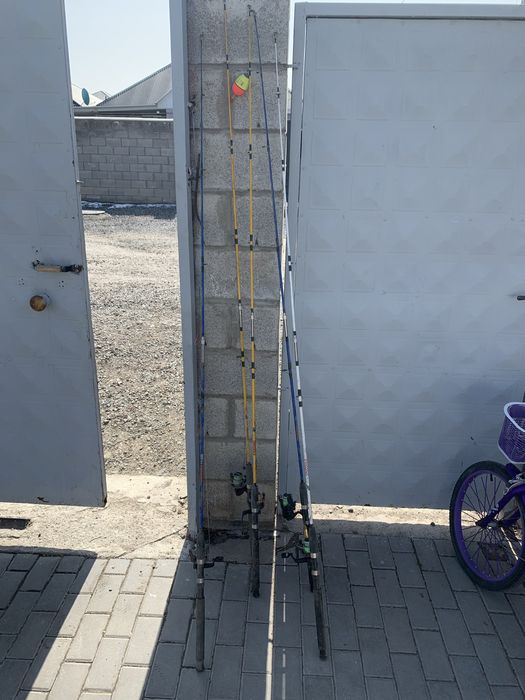 Продаю урочка 5 штук