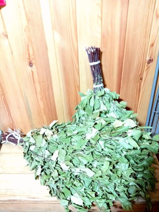 Продам берёзовый веники.