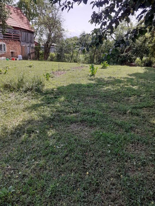 vanzare teren cu casa in terezian