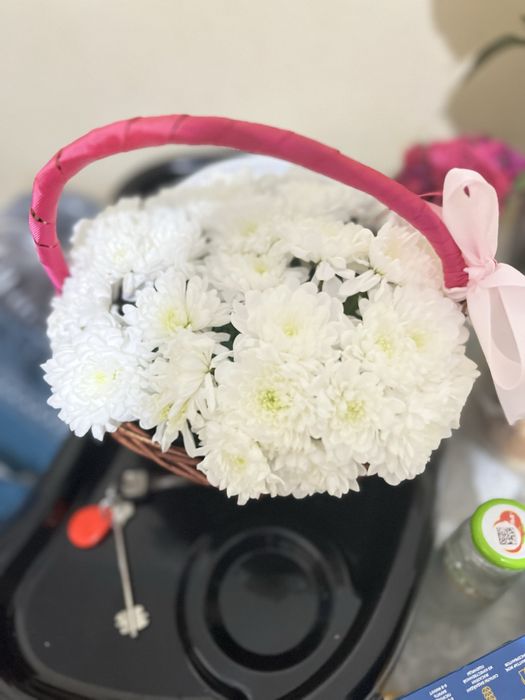 Цветы,гул,Хризантема за 4тыс