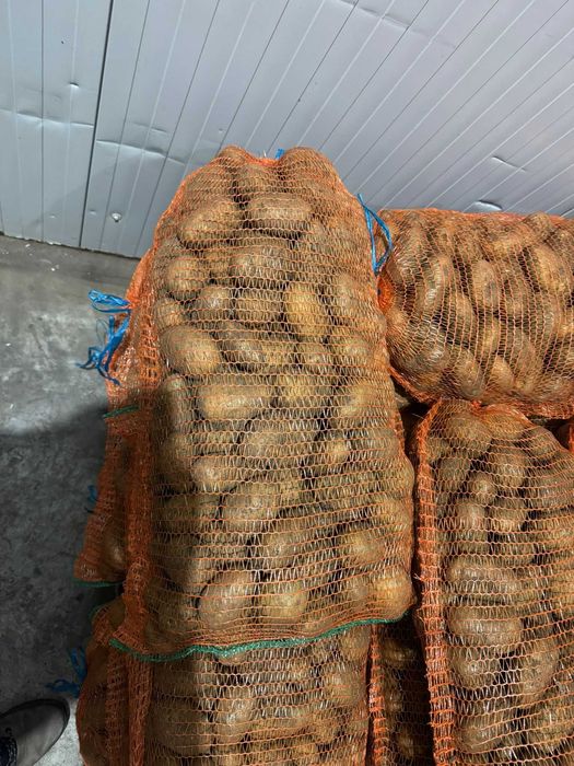 Vând cartofi de calitate - roz și albi mari și sămânță certificată