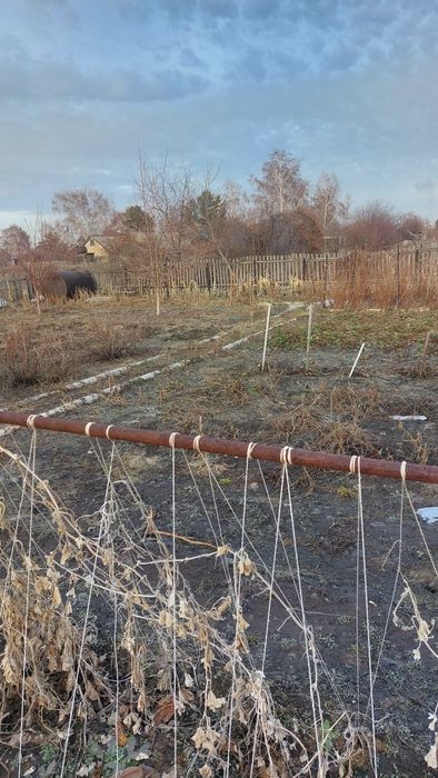 Продам дачу сад здоровье