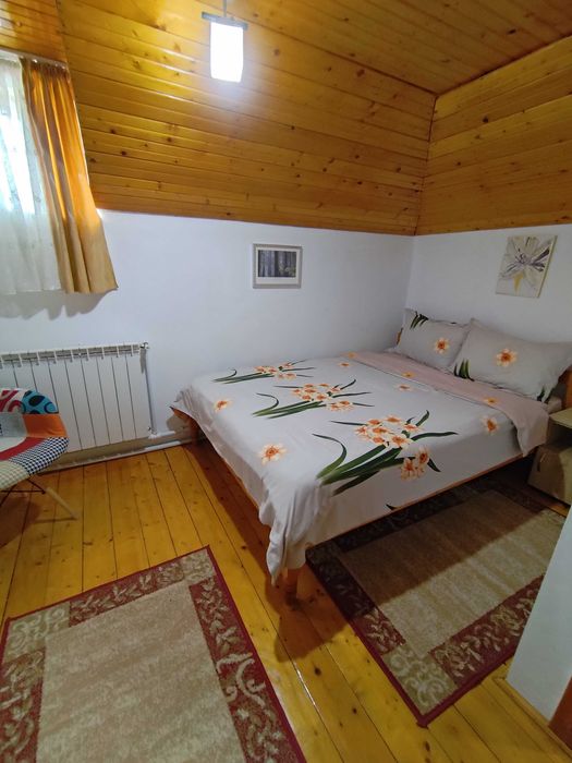 Casa / pensiune de vanzare LEPSA