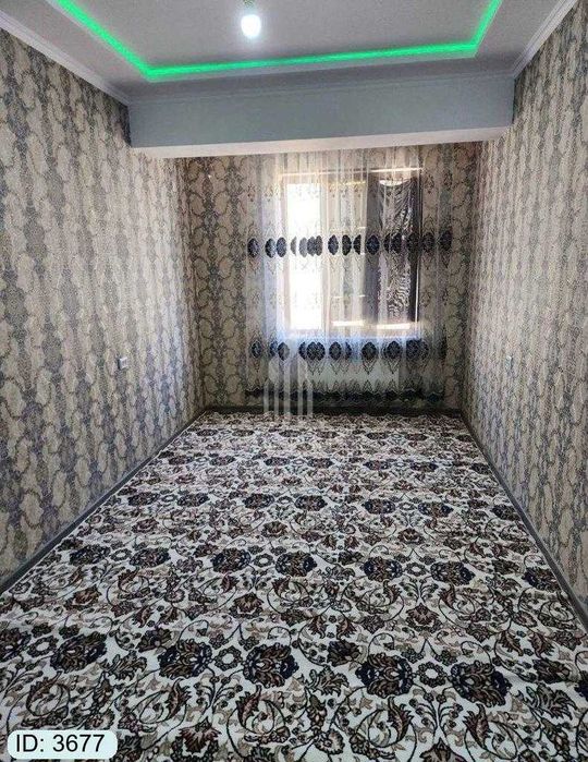 arzon narxda sotiladi ️⃣№3677 5-mikrorayon somiy 7 mkr yo'lida