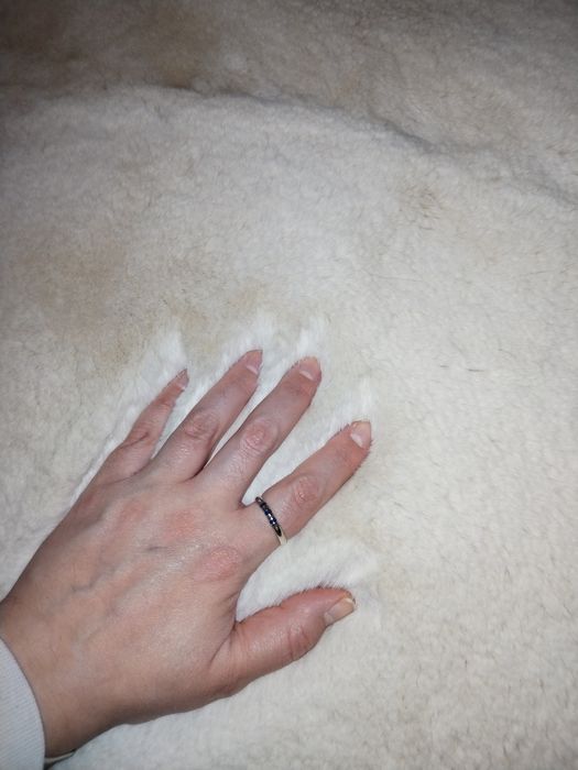 Covor rotund stare foarte bună  170 cm– predare azi doar in București