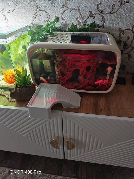 Аквариум современный дизайн