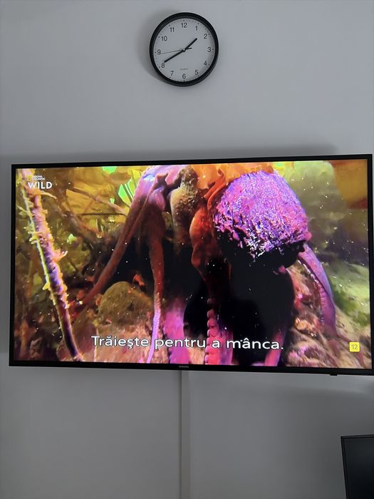 Vind smart tv samsung 125 cm