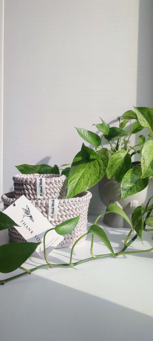 Корзинки ручной работы!