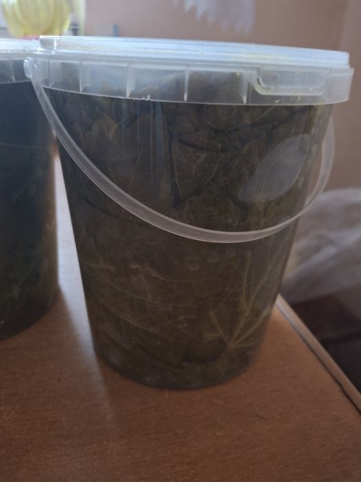 Продам виноградная листья маринованный.