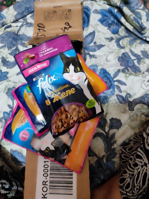 Mushukchalar sotiladi