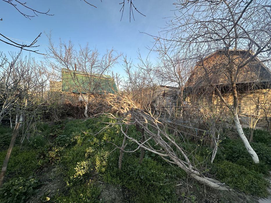 Участок/Дача в Навои срочно продается