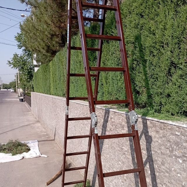 Daraxt kesish abrezka dorilash