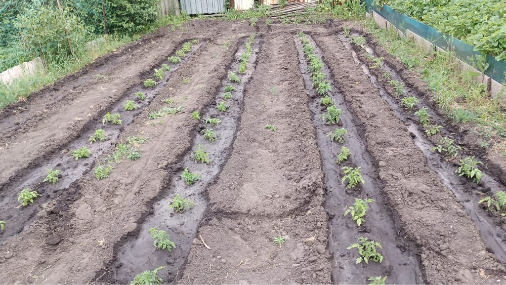 Дача СО энергетик