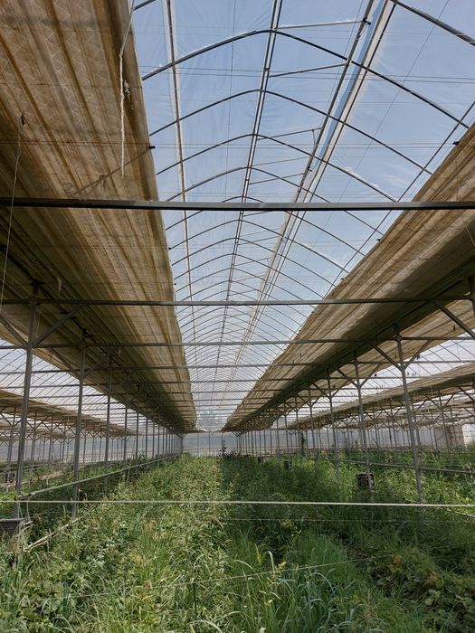 Продаётся теплица