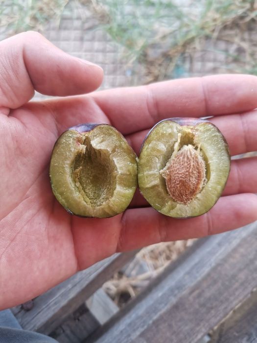 Vand prune pentu tuica si palinca