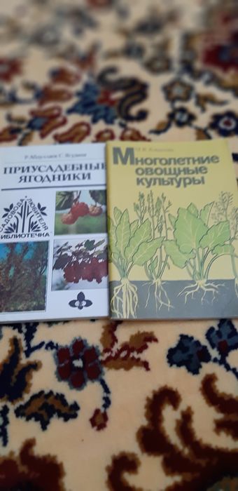 Начинающим  садоводам  и цветоводам!Плодоводство и садоводство