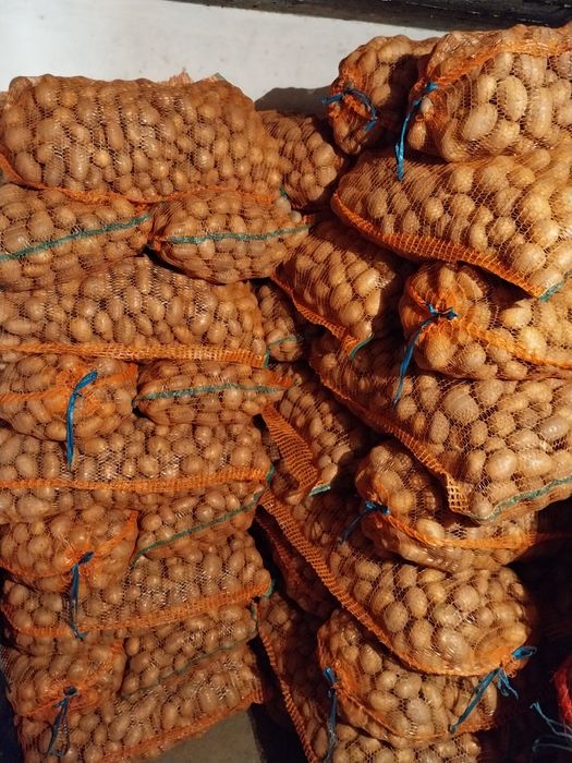 Vând Cartofi samanta