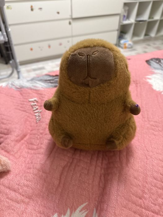 Мягкая игрушка перевертыш и копибара стоит 2500