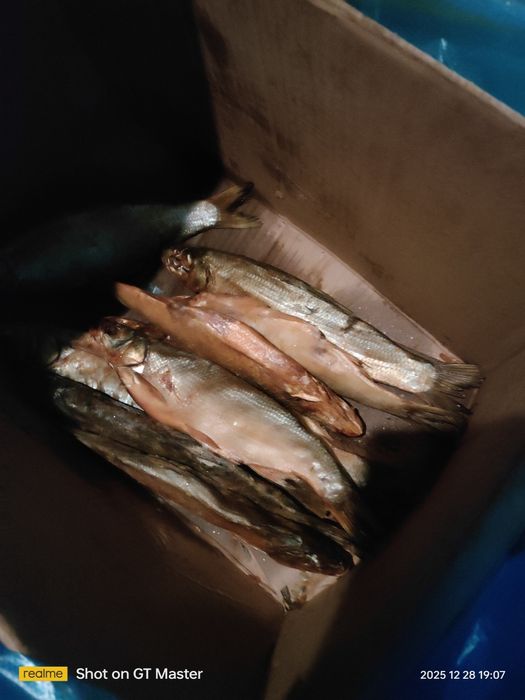 Жерех, вобла копченый/соленый