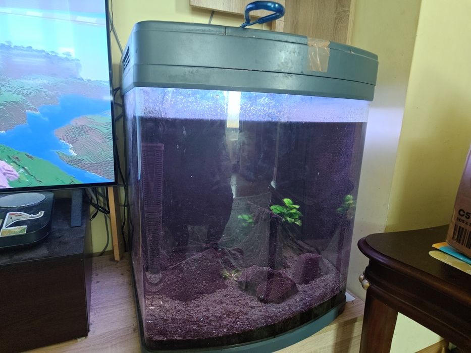 Сера биотоп 130. Диод!