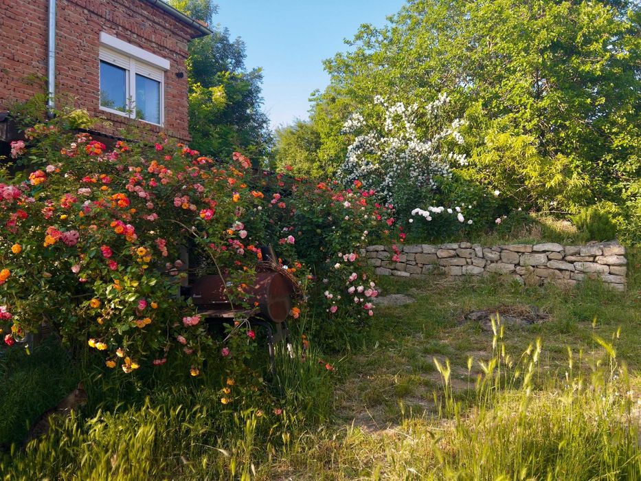 Продава се Къща в с. Аврен, Област Варна - 110 кв.м за 955 €/кв.м - Снимка #1