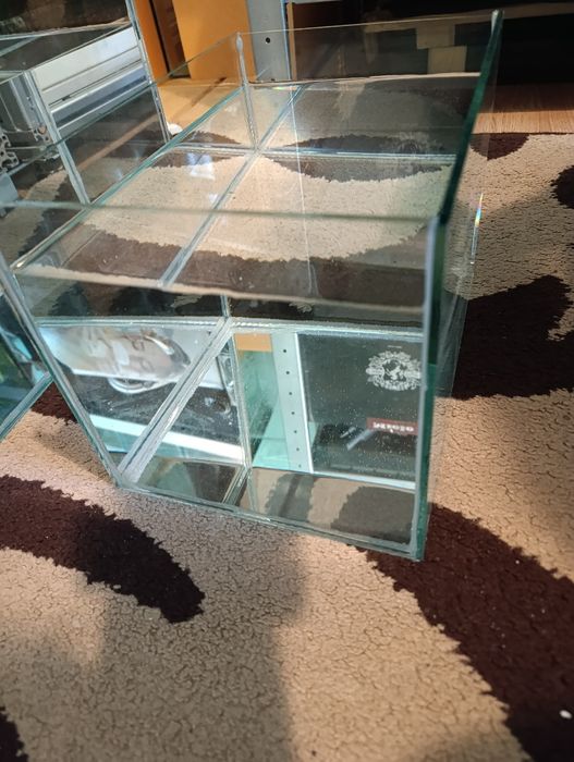 Acvariu pești și plante