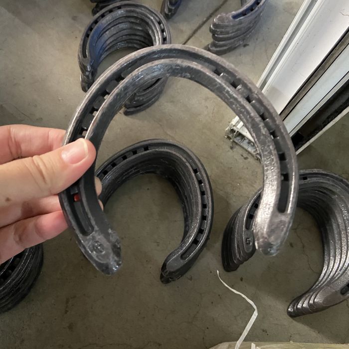 Темір таға, подкова