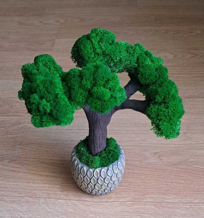 Decorațiuni cu licheni