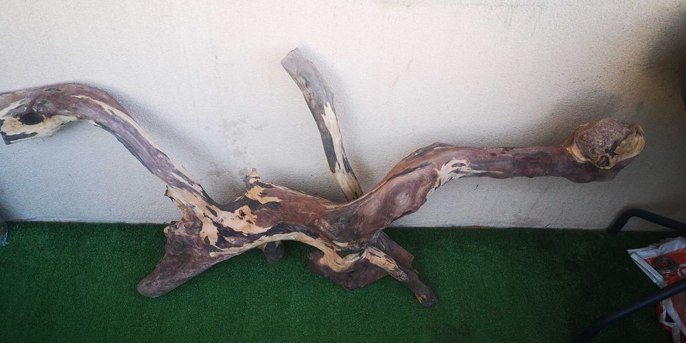 Корен за аквариум