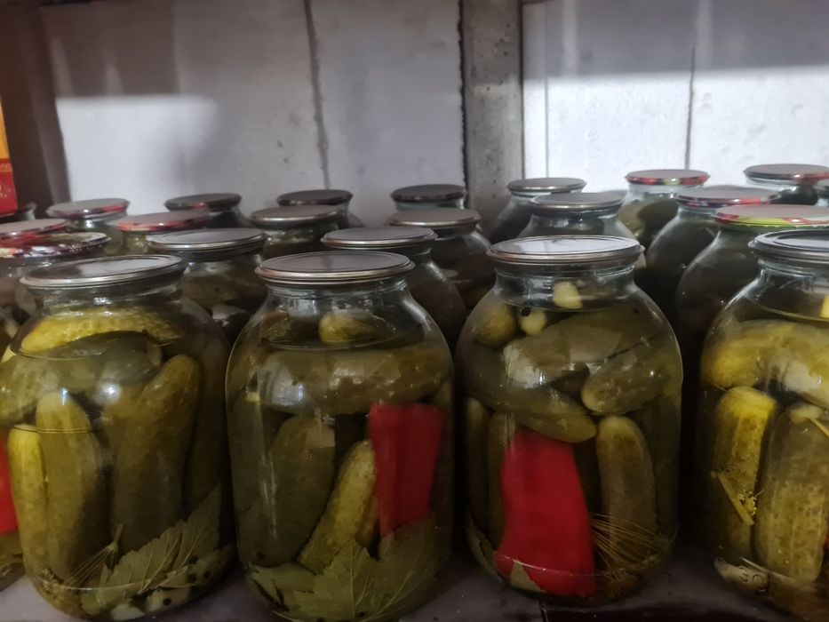 Домашние соленья