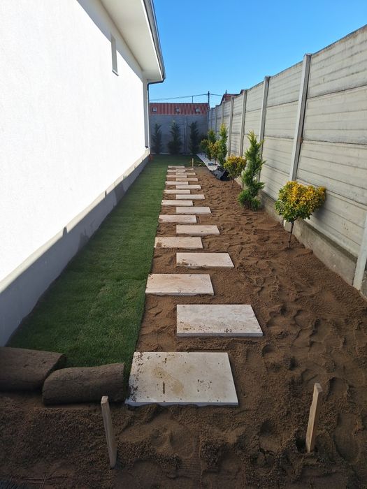 Amenajări grădini de la A la Z Gazon rulou plante ornamentale