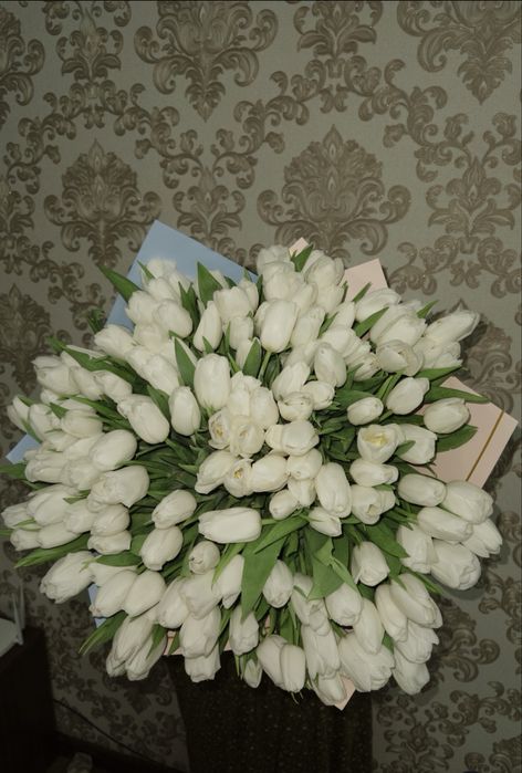 тюльпаны свежие больше 120 шт