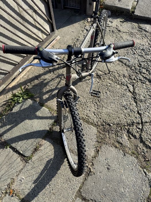 Bicicleta Alpina roti pe 26