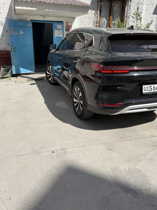 Byd chempion gibrid 150