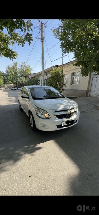 Cobalt 2024 yil 4 pazitsa