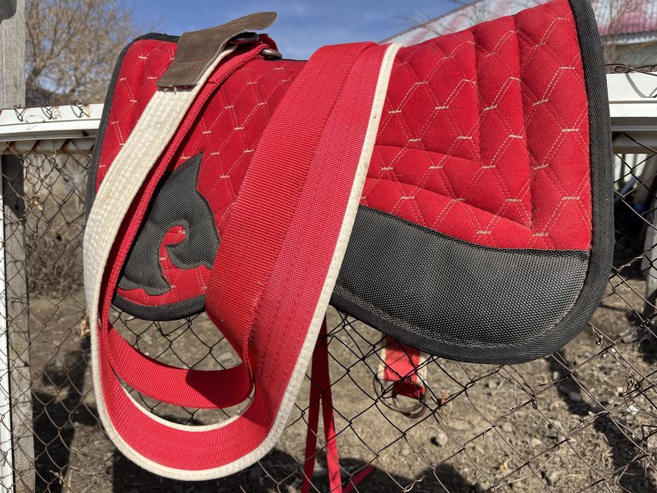 Ертоқым, ат әбзелі