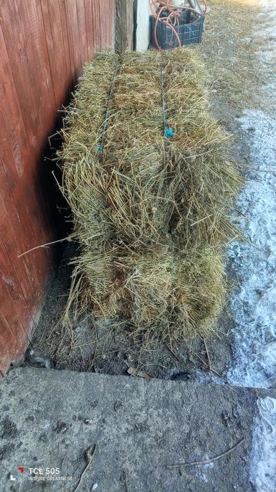 De vânzare baloții de lucernă 20 lei