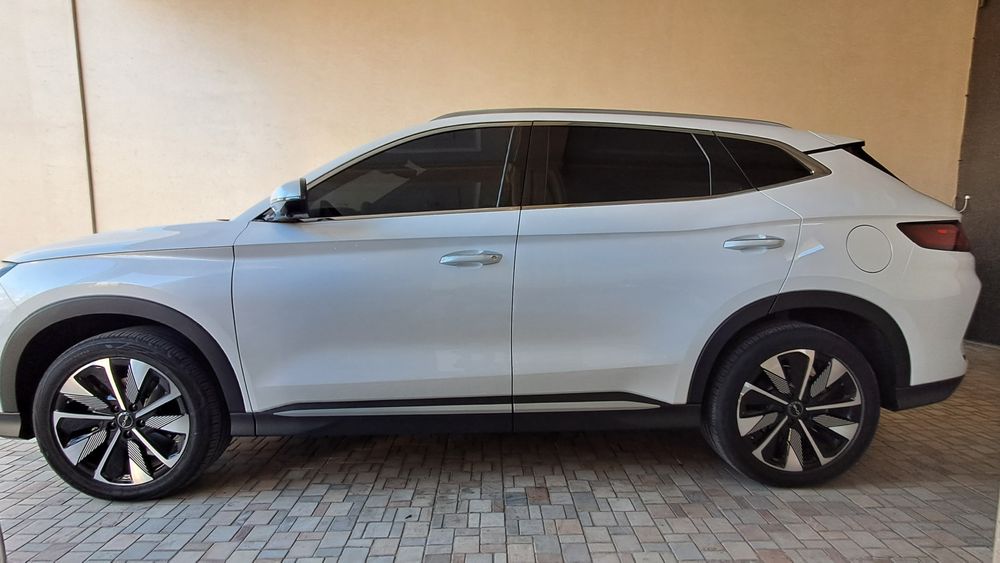 Byd champion 2025/25 fevral oq kraska top toza