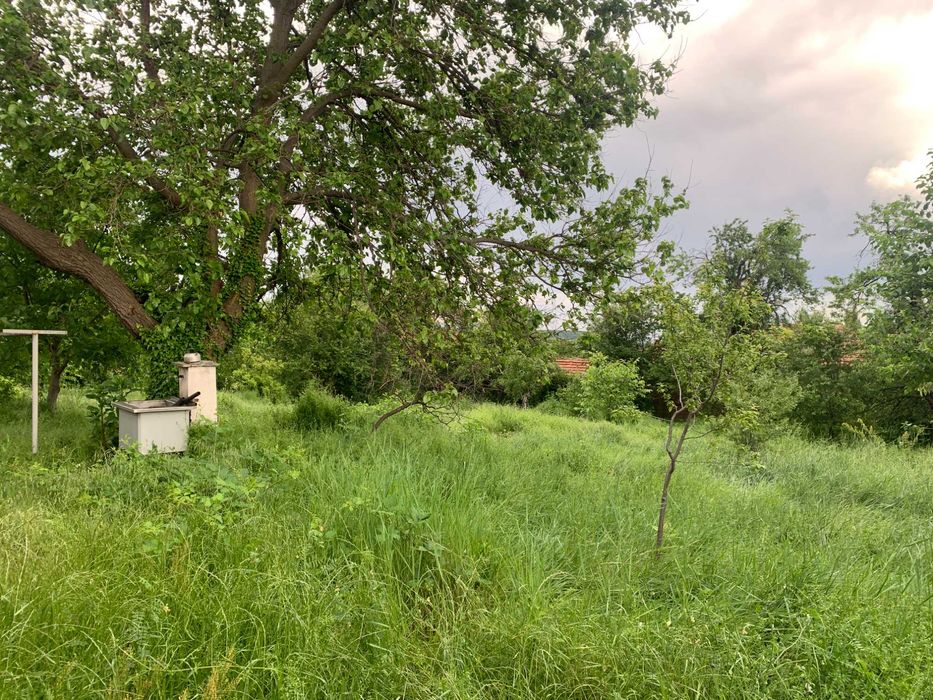 ИМОТ в близост до ЦЕНТЪРА на с. Васил Левски