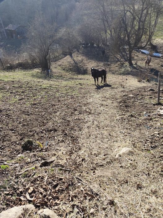 Парцел в центъра.